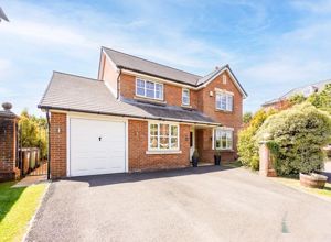 Photo 1- click for photo gallery